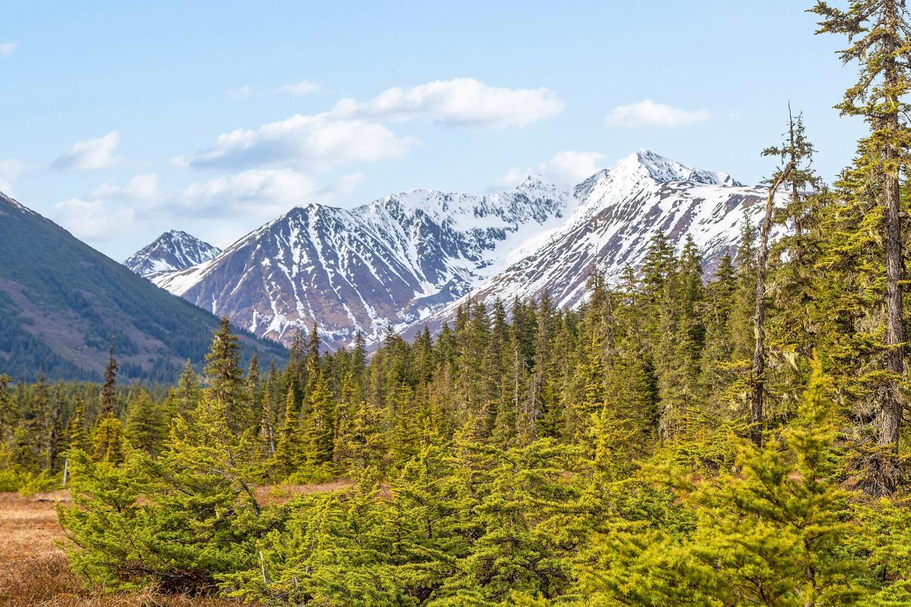 Crow Creek Hotel Girdwood Eksteriør billede